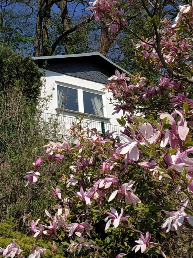 Das Ferienhaus Mit Aussicht Πίρνα Εξωτερικό φωτογραφία